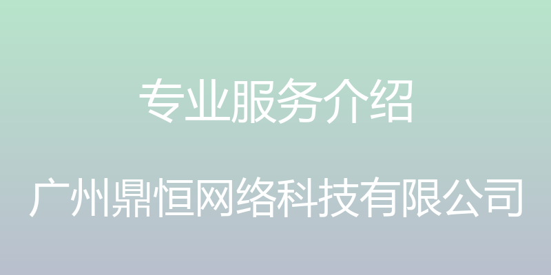 专业服务介绍 - 广州鼎恒网络科技有限公司