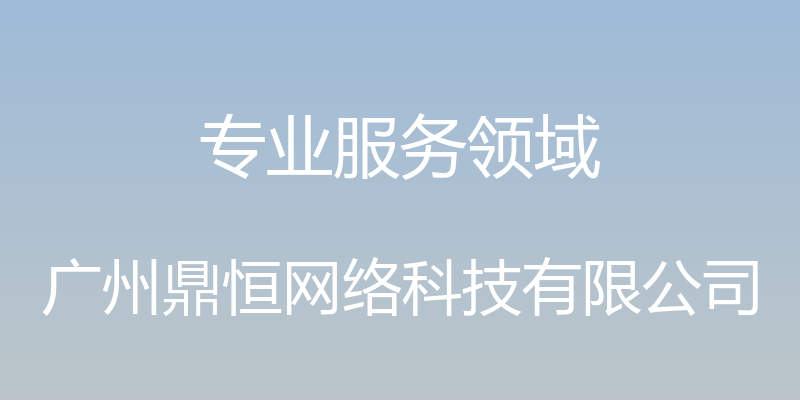 专业服务领域 - 广州鼎恒网络科技有限公司